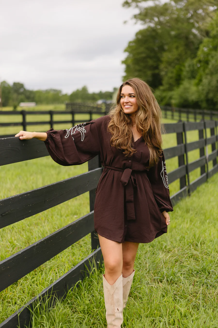 Autumn Berry Dress