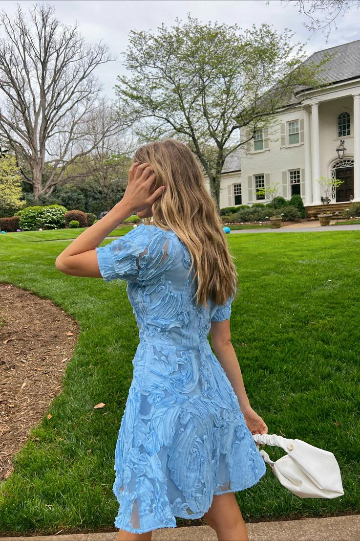 Bluebird Day Dress - Image 3