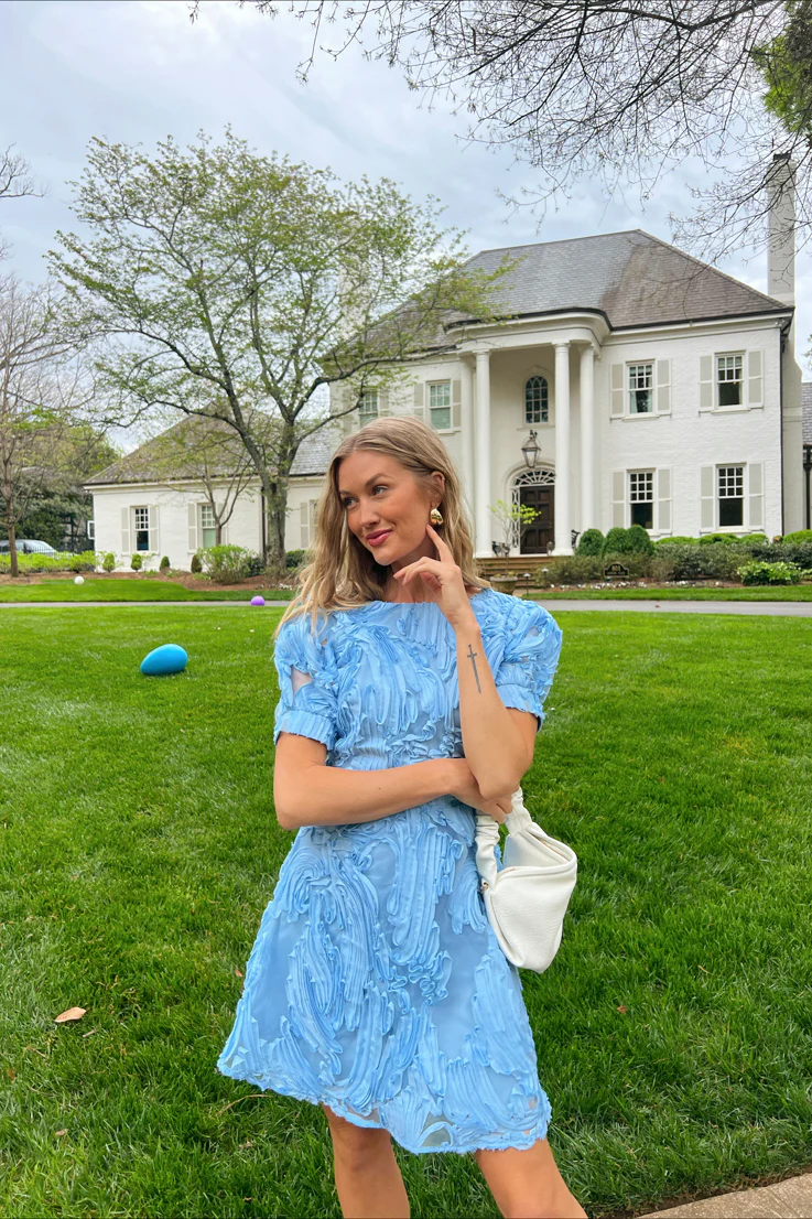 Bluebird Day Dress - Image 4