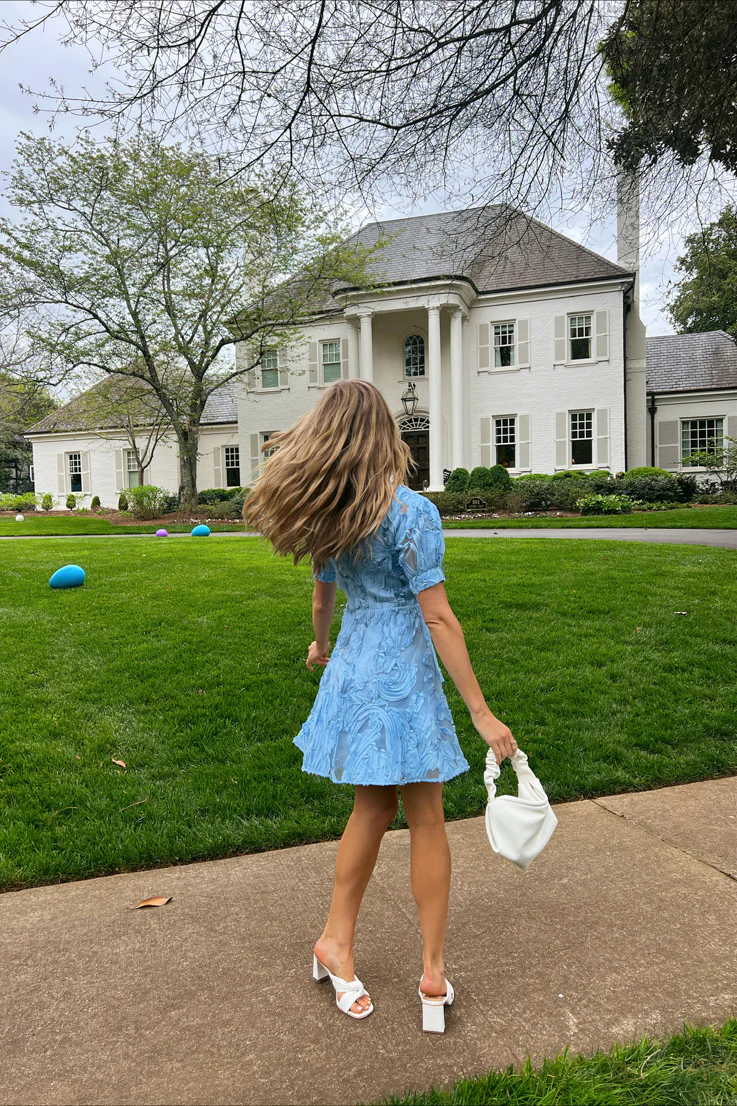 Bluebird Day Dress - Image 6