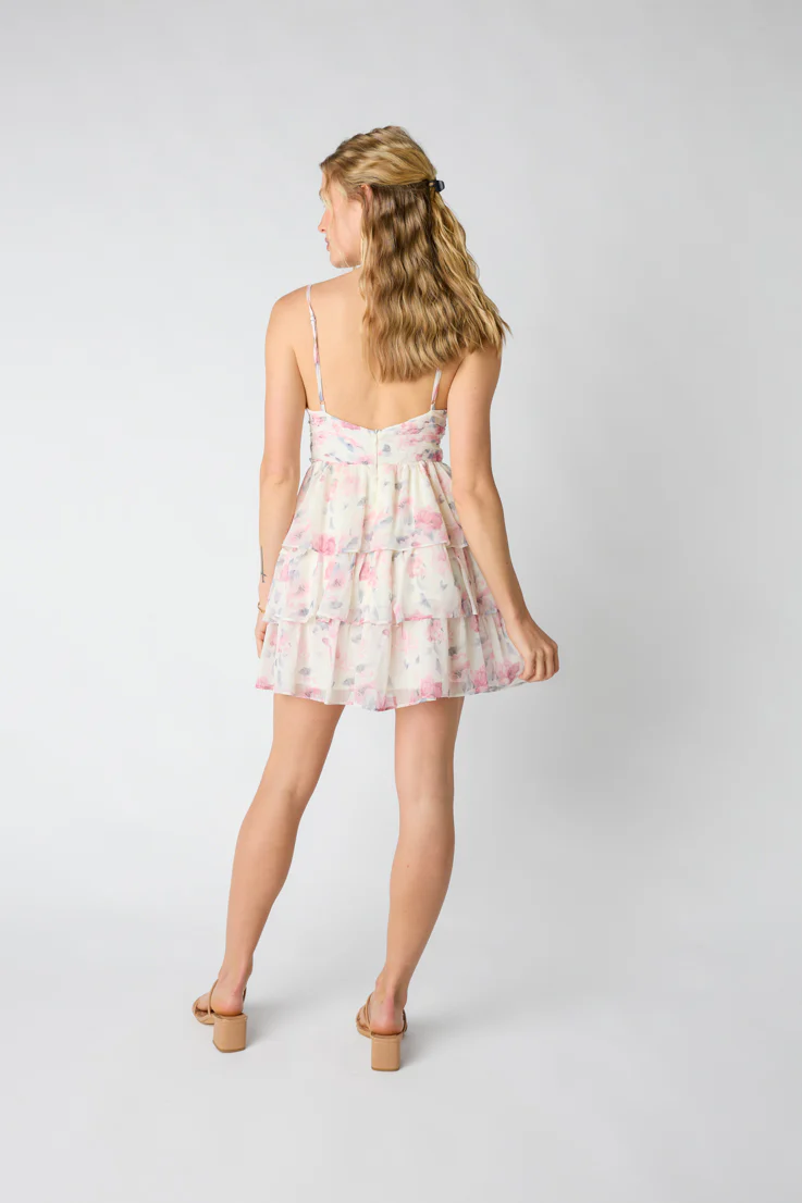 Blushing Beauty Mini Dress - Image 2