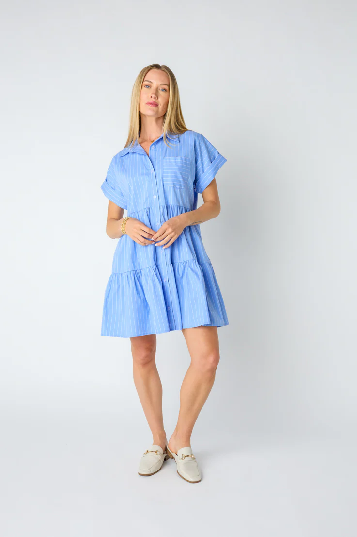Bradley Mini Dress