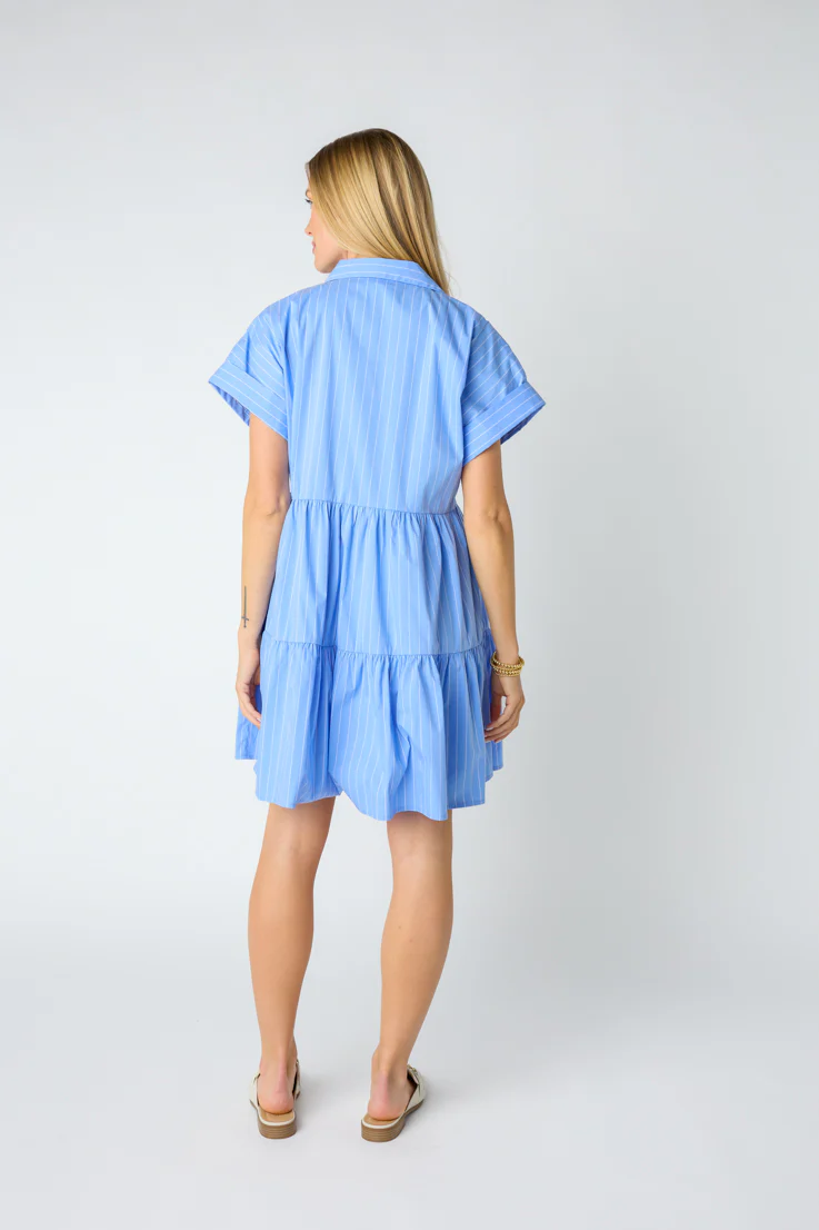 Bradley Mini Dress - Image 2