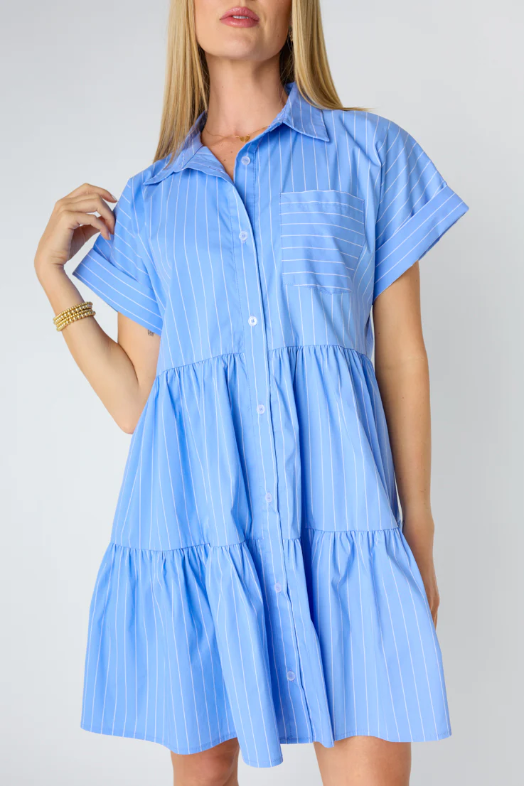 Bradley Mini Dress - Image 3