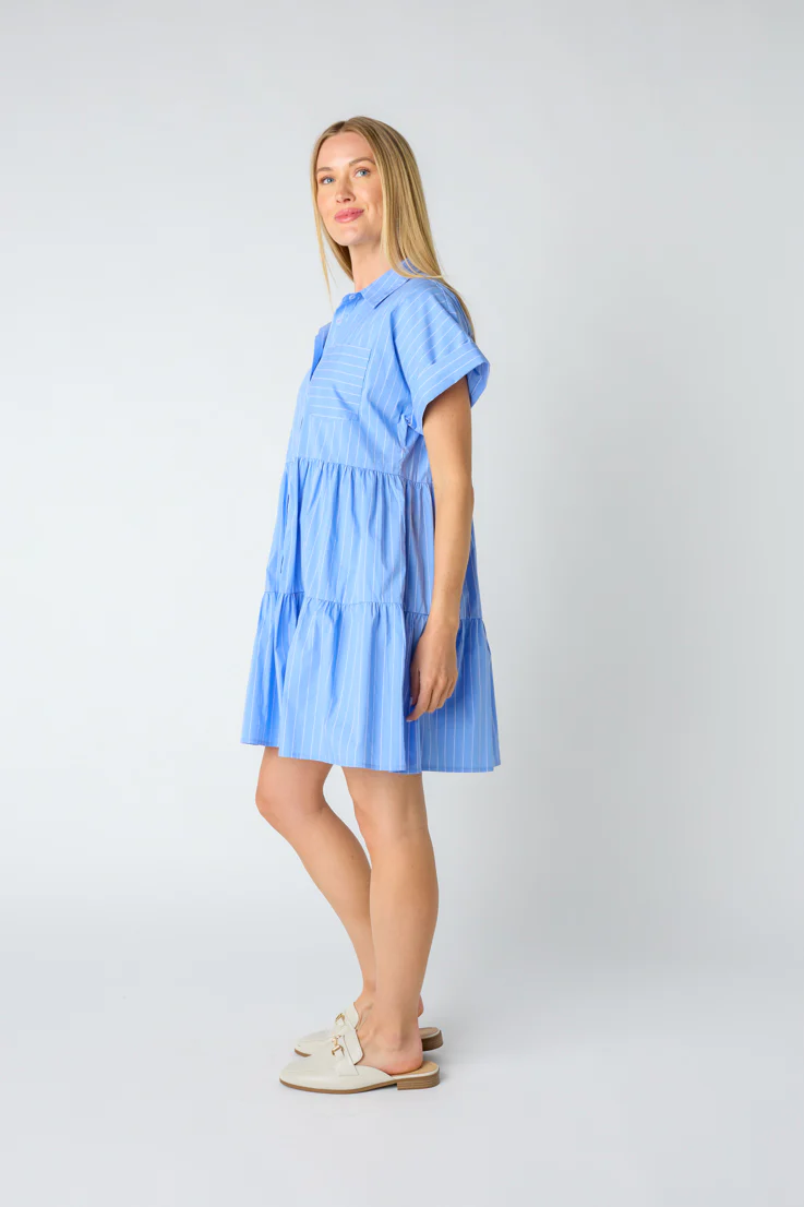 Bradley Mini Dress - Image 4
