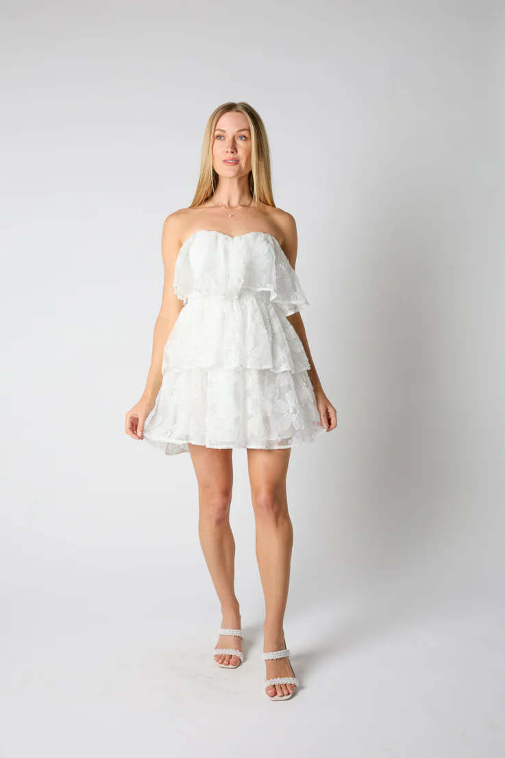 Chantilly Mini Dress - Image 3