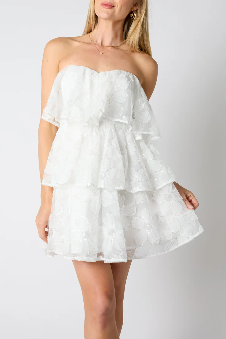 Chantilly Mini Dress - Image 5