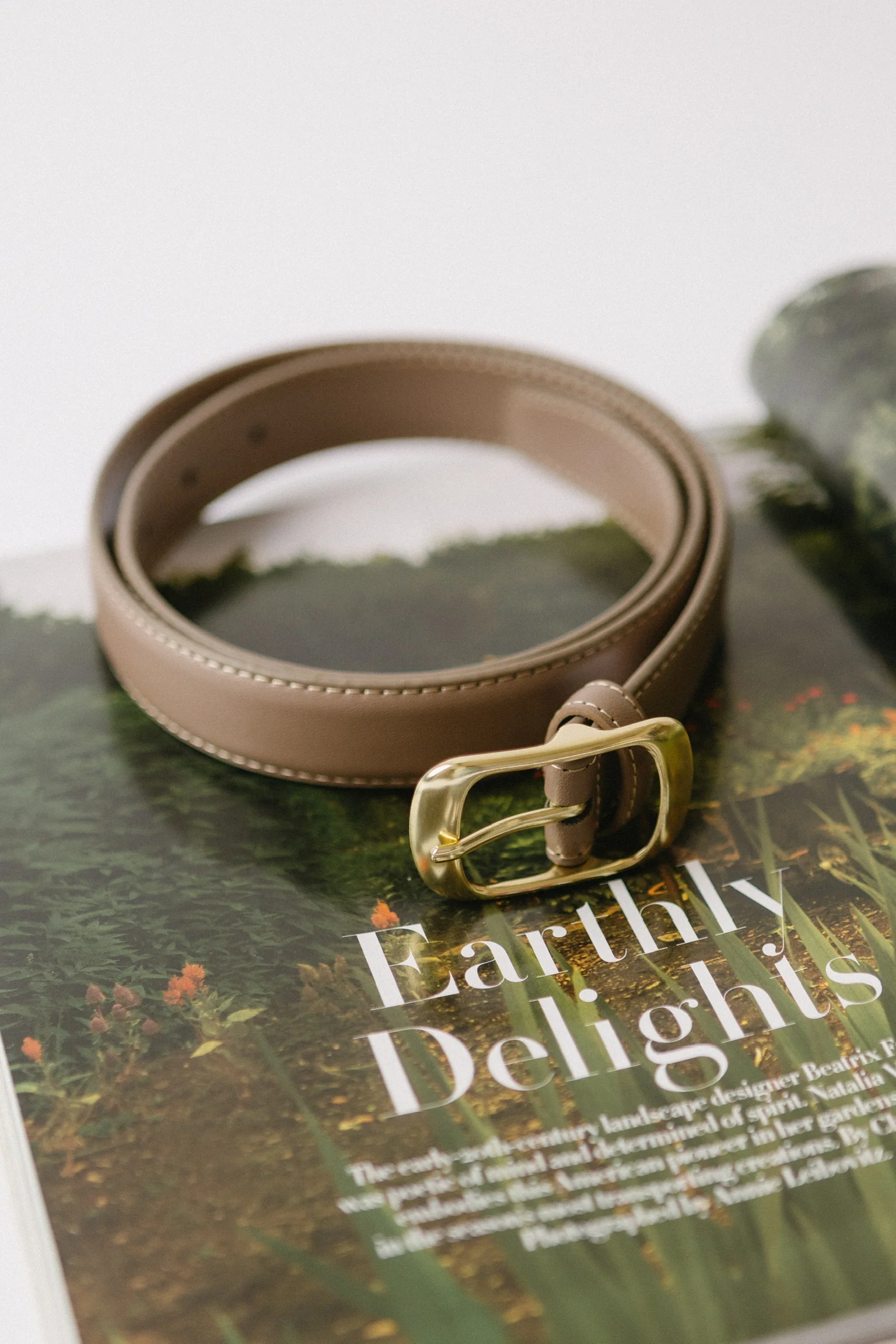 Cornelia Belt - Image 2