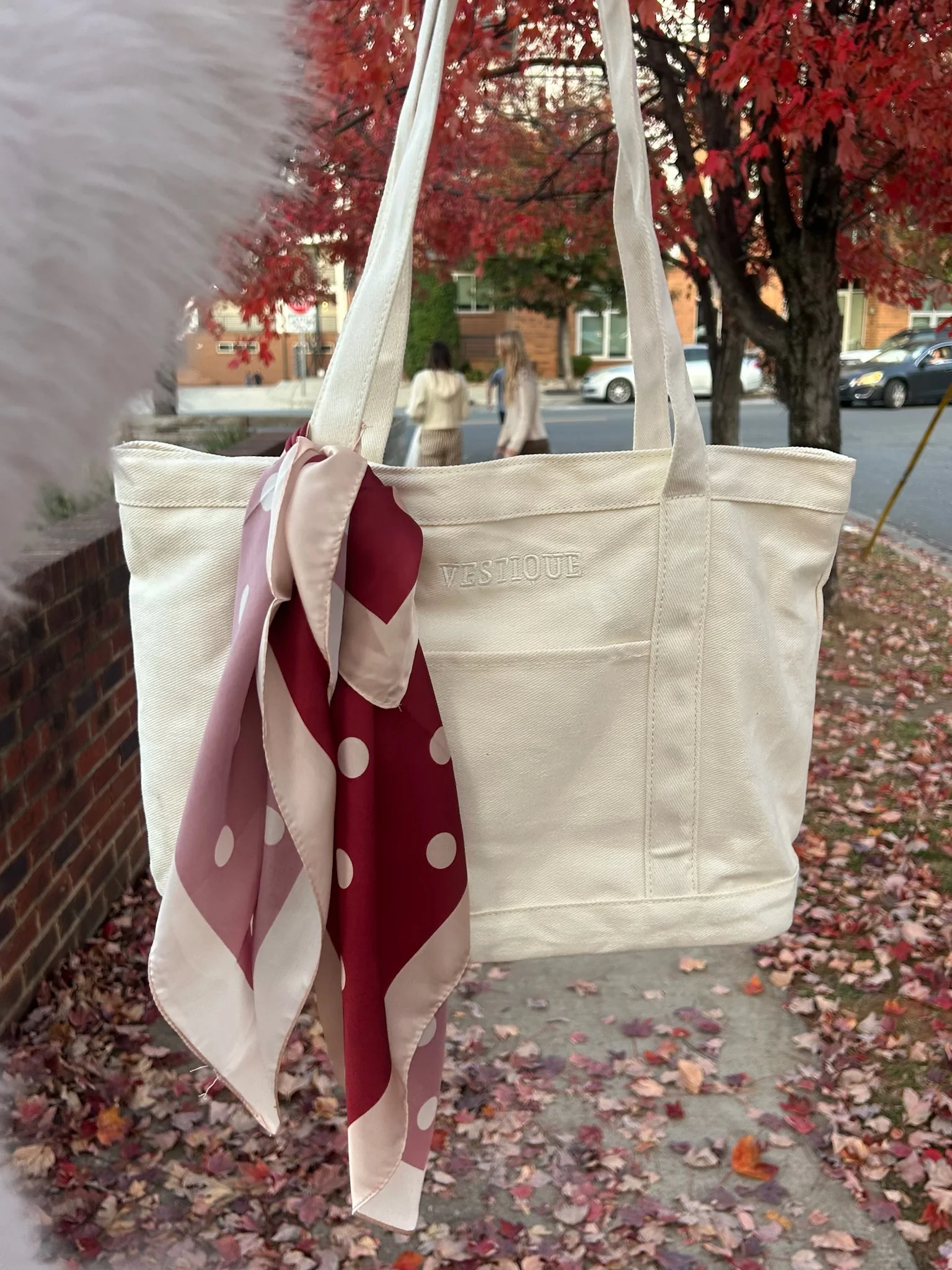Free Gift! Tote & Scarf