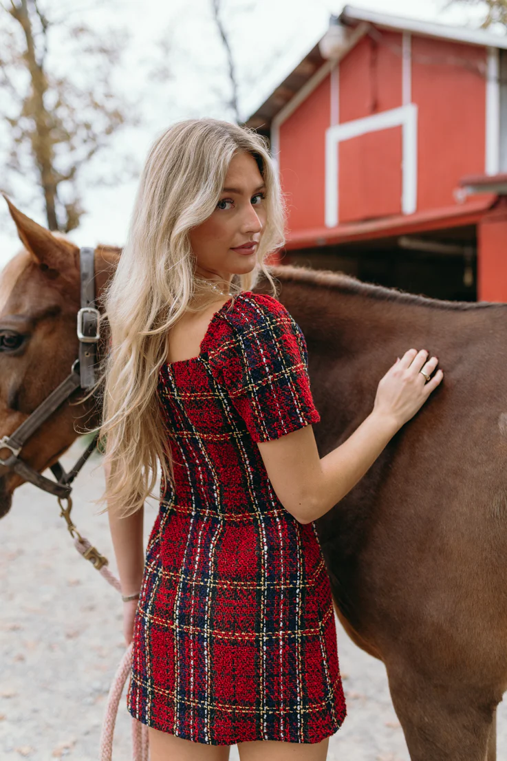 Holiday Spirit Dress - Image 2