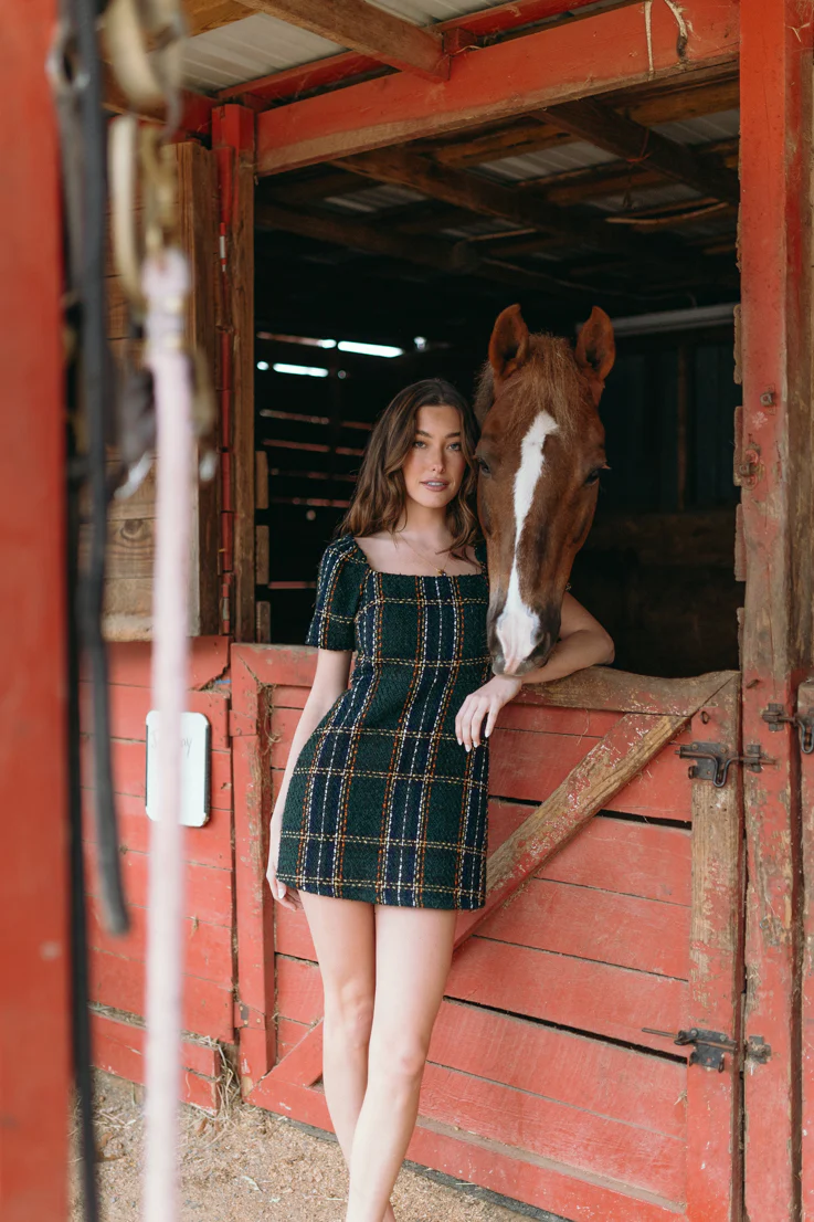 Holiday Spirit Dress - Image 5