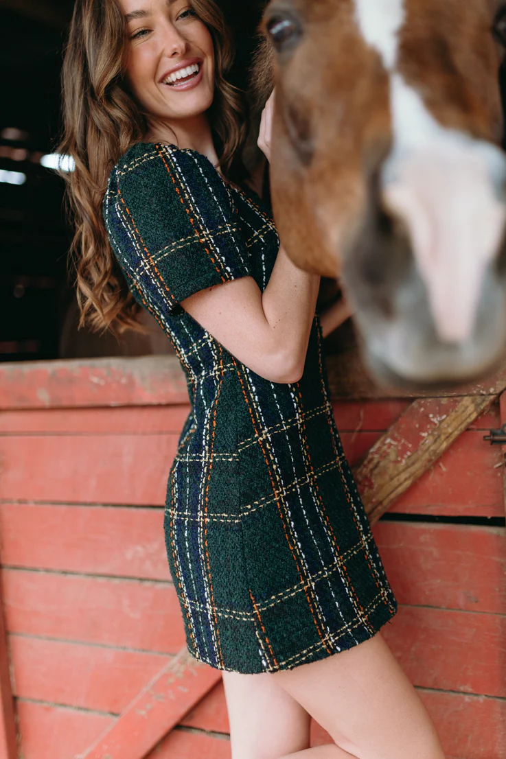 Holiday Spirit Dress - Image 7