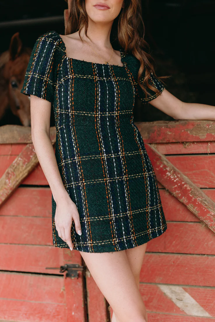 Holiday Spirit Dress - Image 8