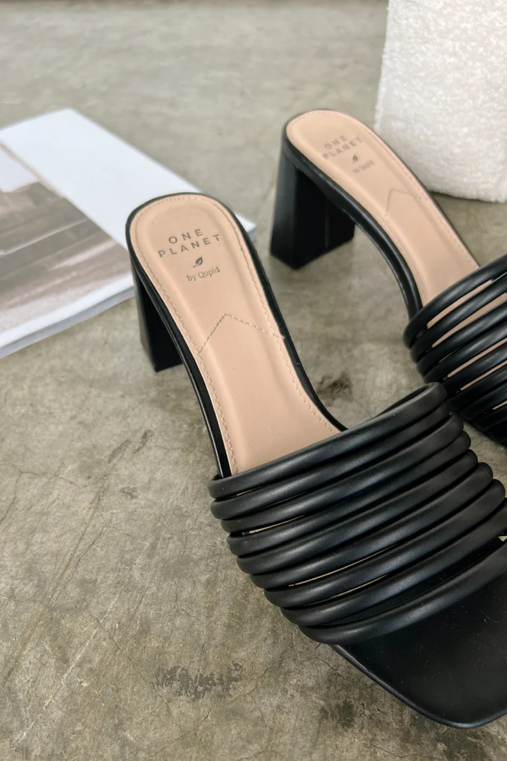 On the Regular Heels - Image 2