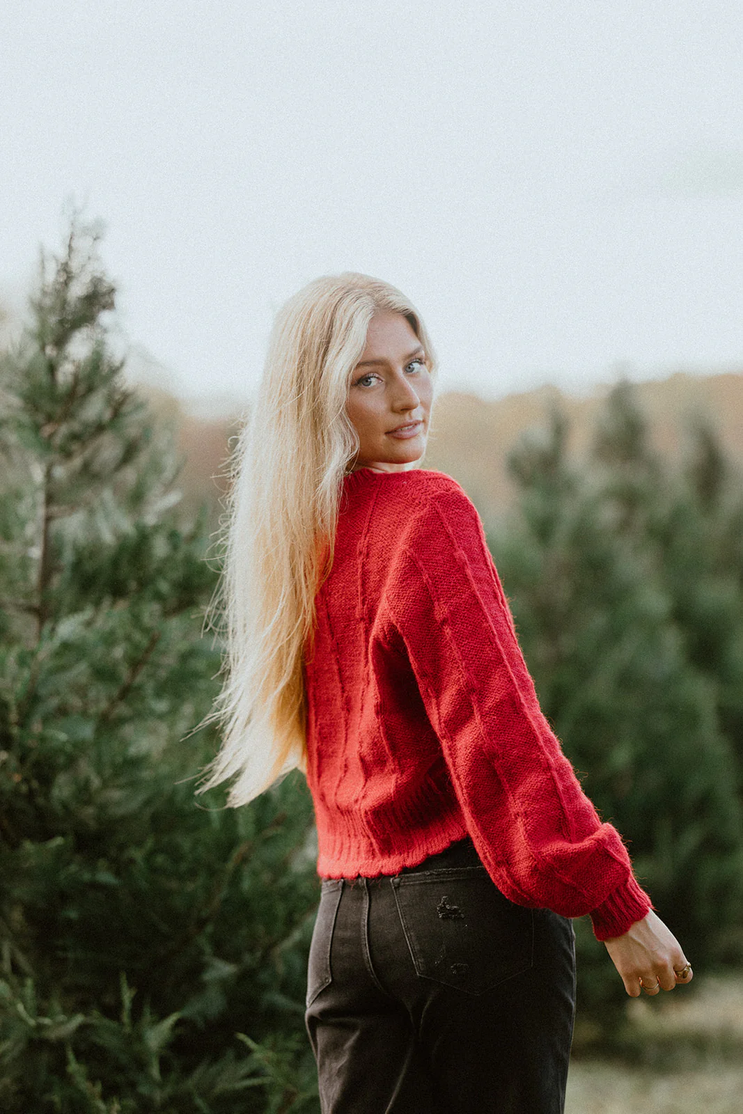 Scarlett Cardigan - Image 2