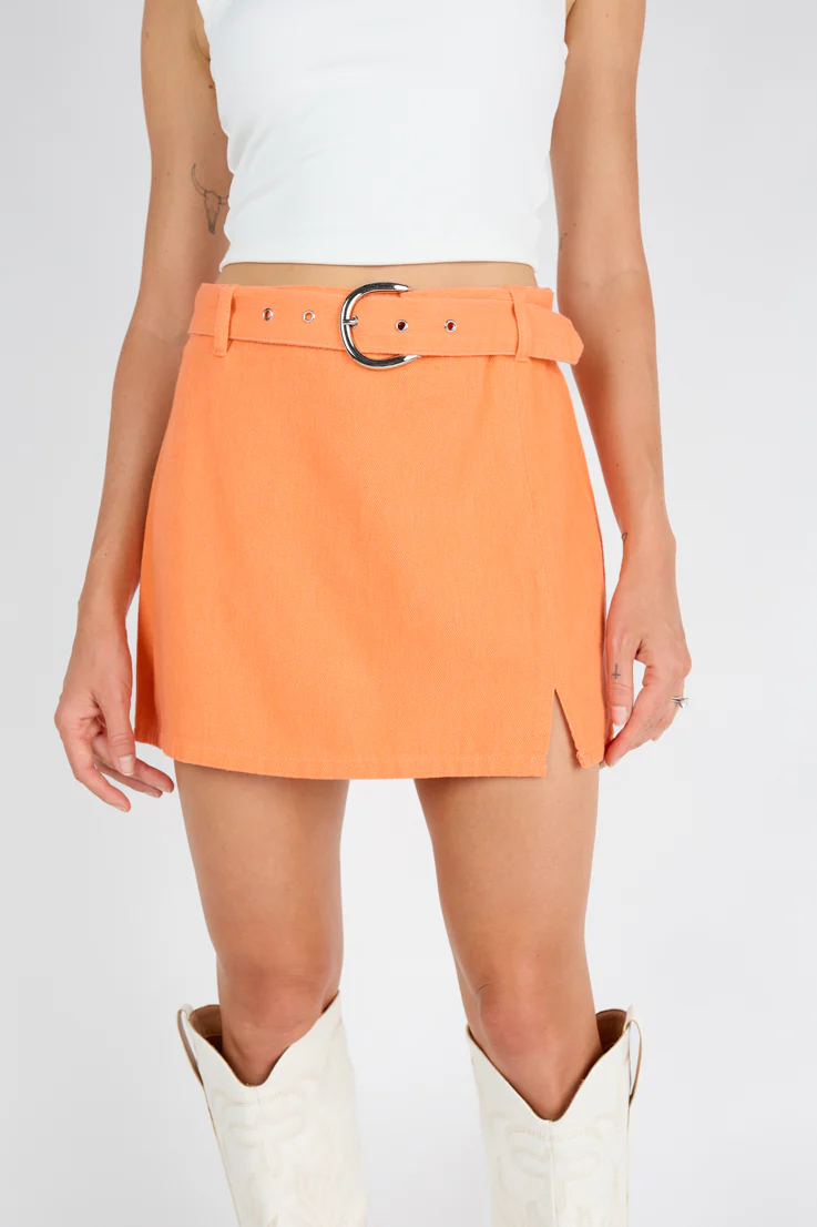 Shenanigans Skirt - Image 19