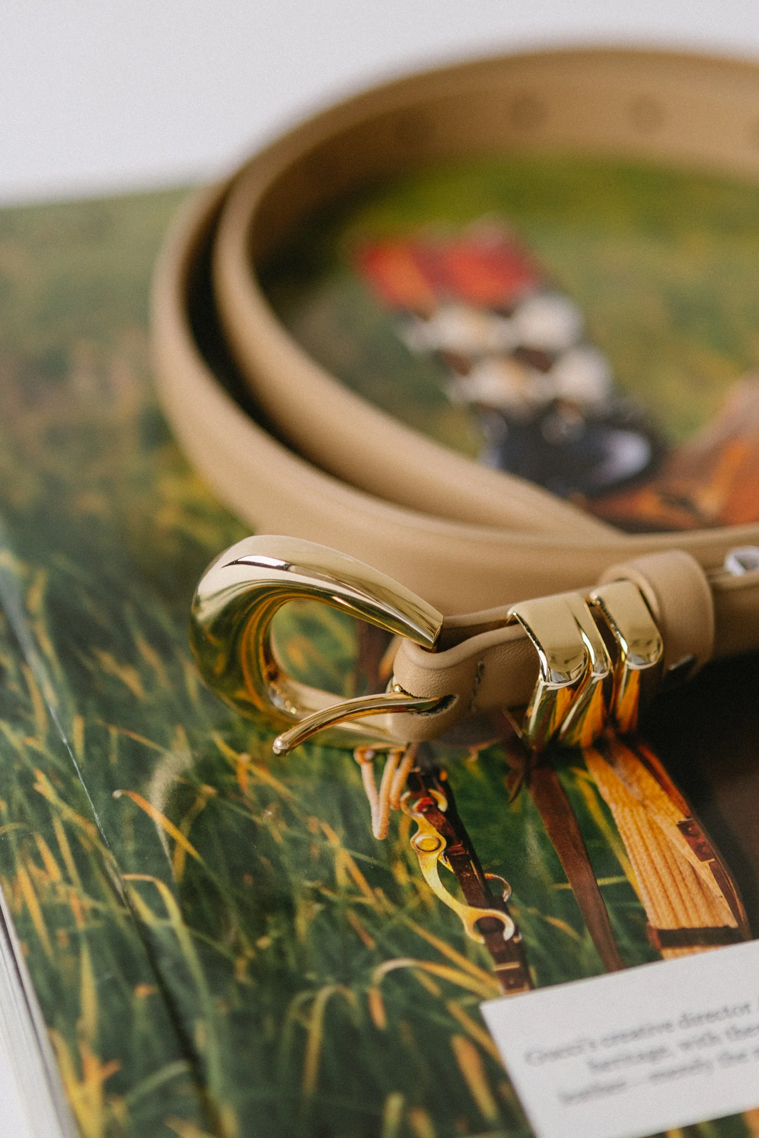 Small Favor Belt - Image 6